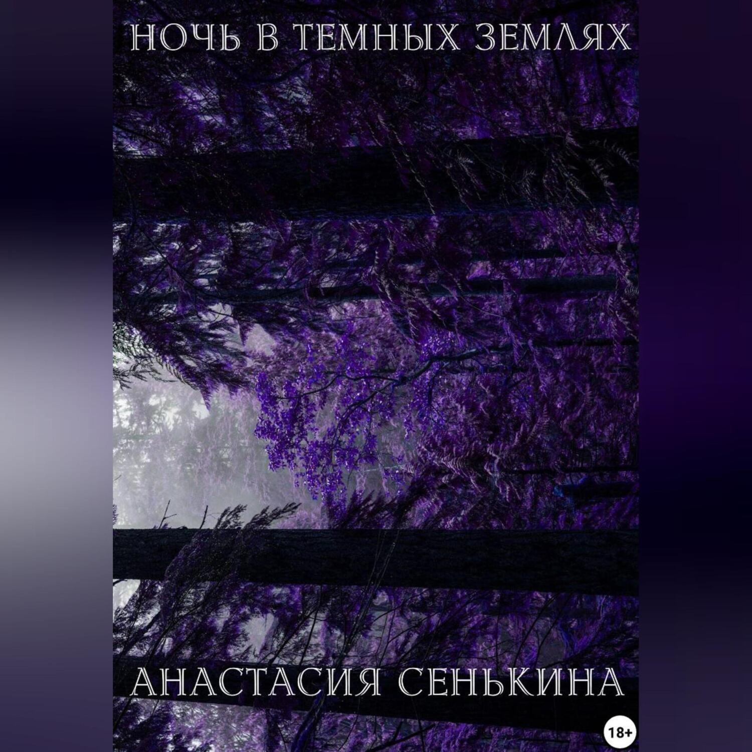 Обложка книги «Ночь в тёмных землях»
