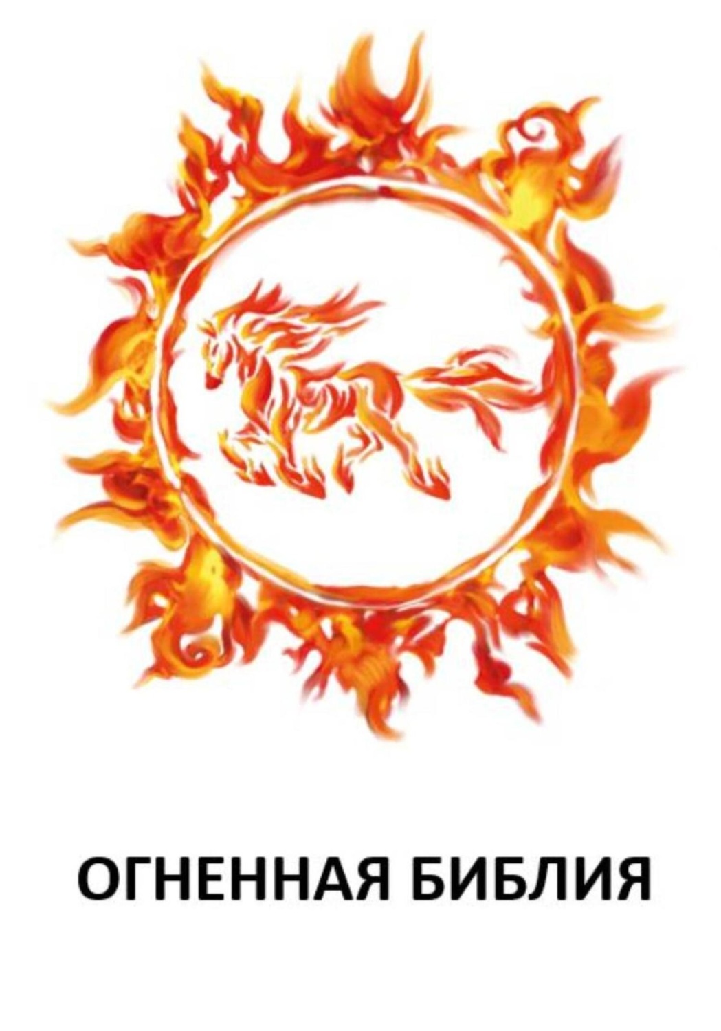 Обложка книги «ОГНЕННАЯ БИБЛИЯ»