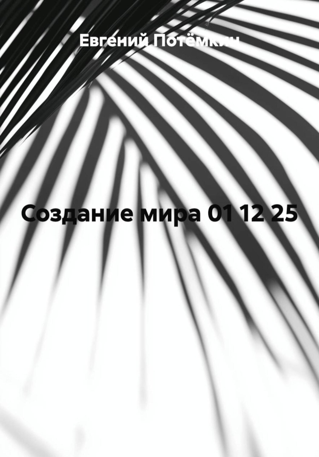 Обложка книги «Создание мира 01 12 25»