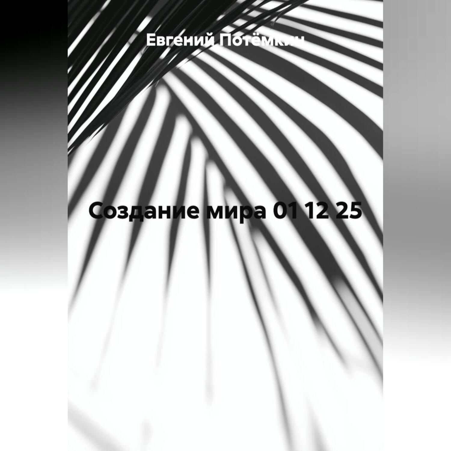 Обложка книги «СОЗДАНИЕ МИРА 01 12 25»
