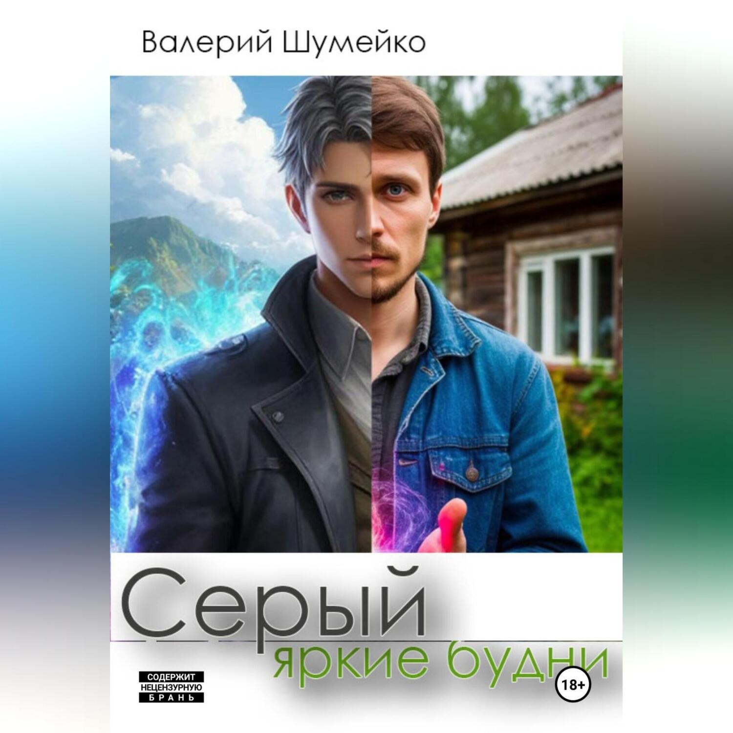 Обложка книги «Серый. Яркие будни»