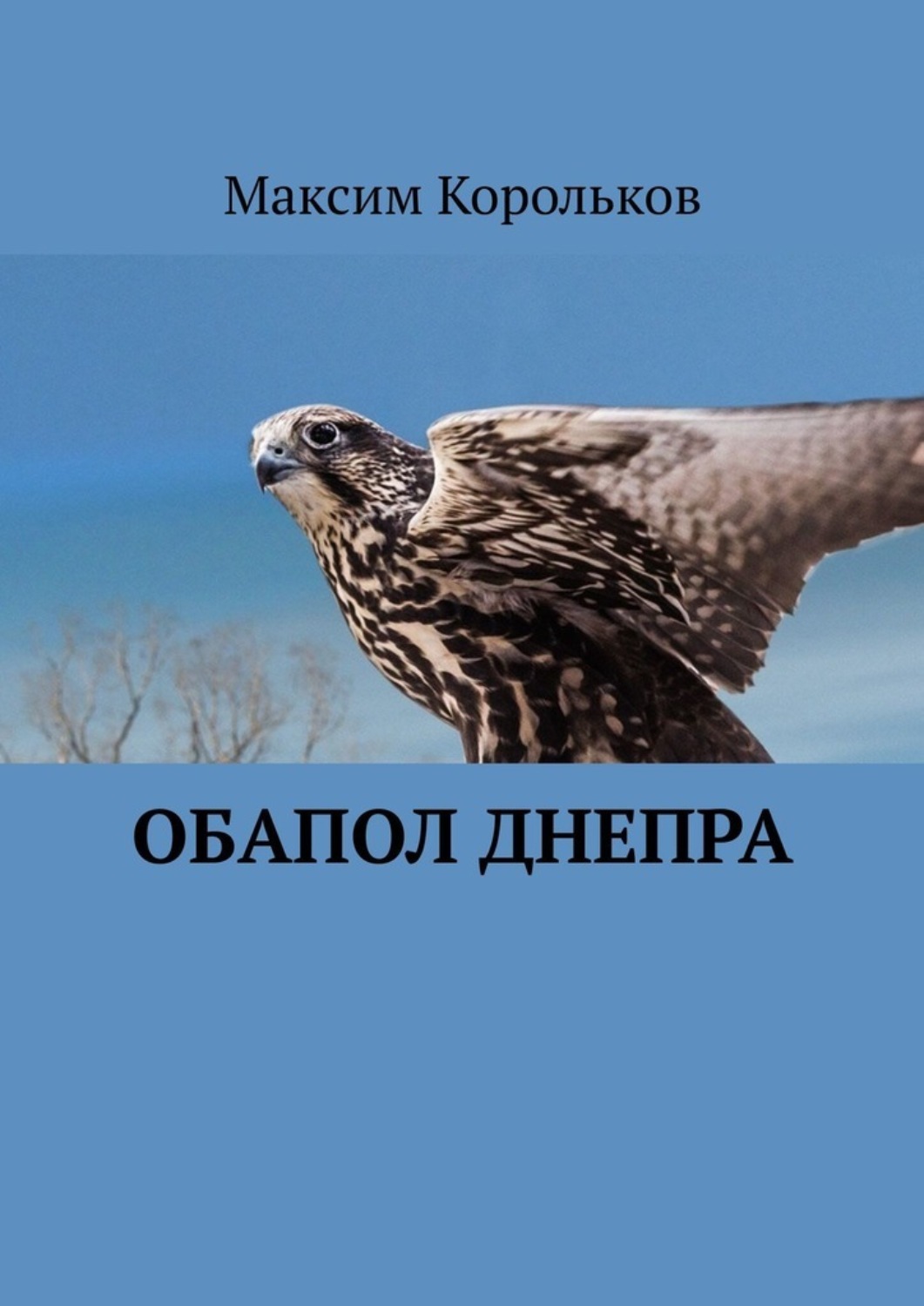 Обложка книги «Обапол Днепра»