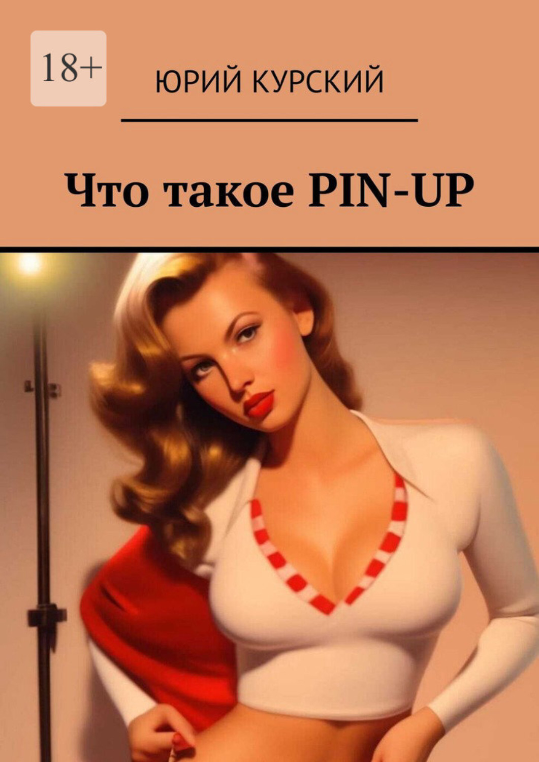 Обложка книги «Что такое PIN-UP»