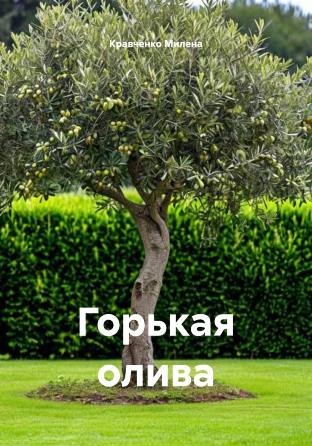 Обложка книги «Горькая олива»