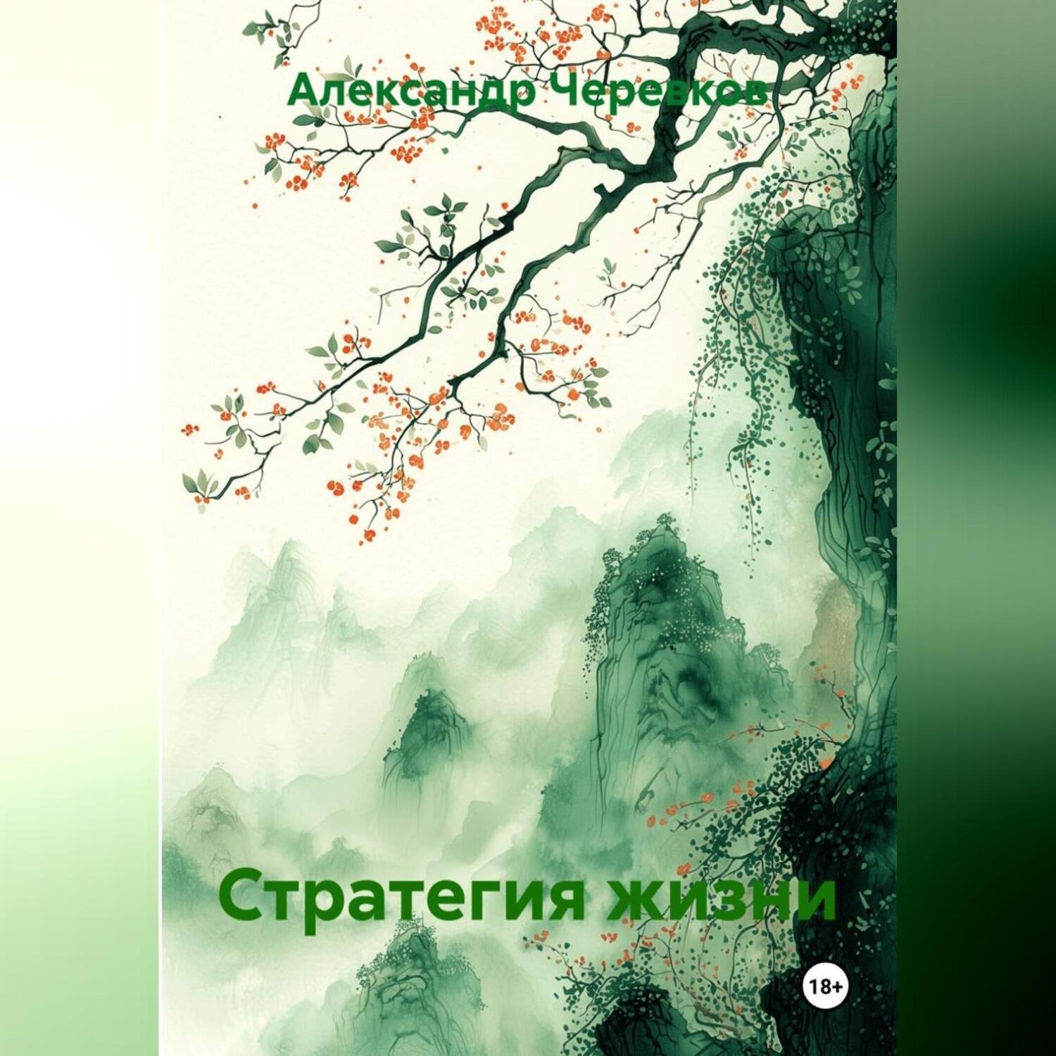 Обложка книги «Стратегия жизни»