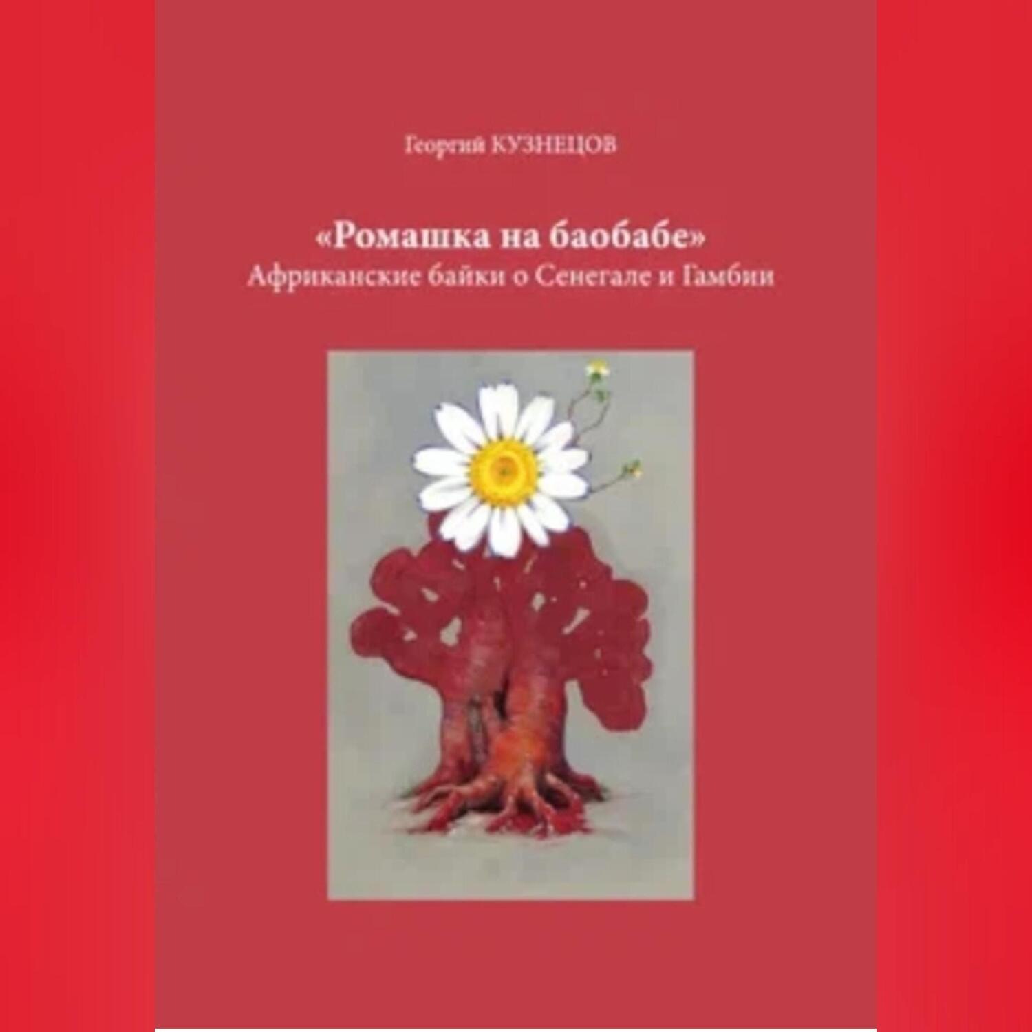 Обложка книги «Ромашка на баобабе»