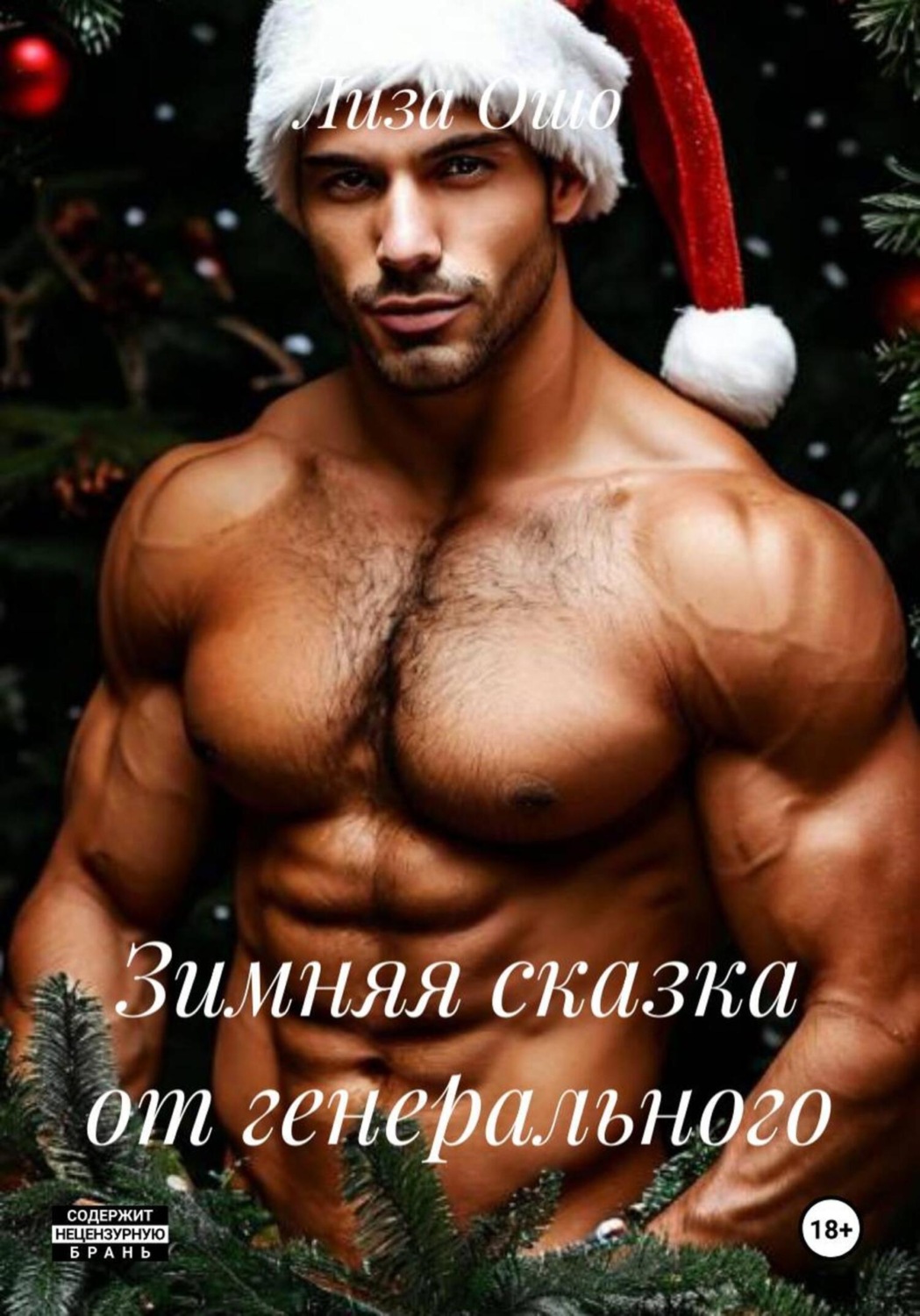 Обложка книги «Зимняя сказка от генерального»