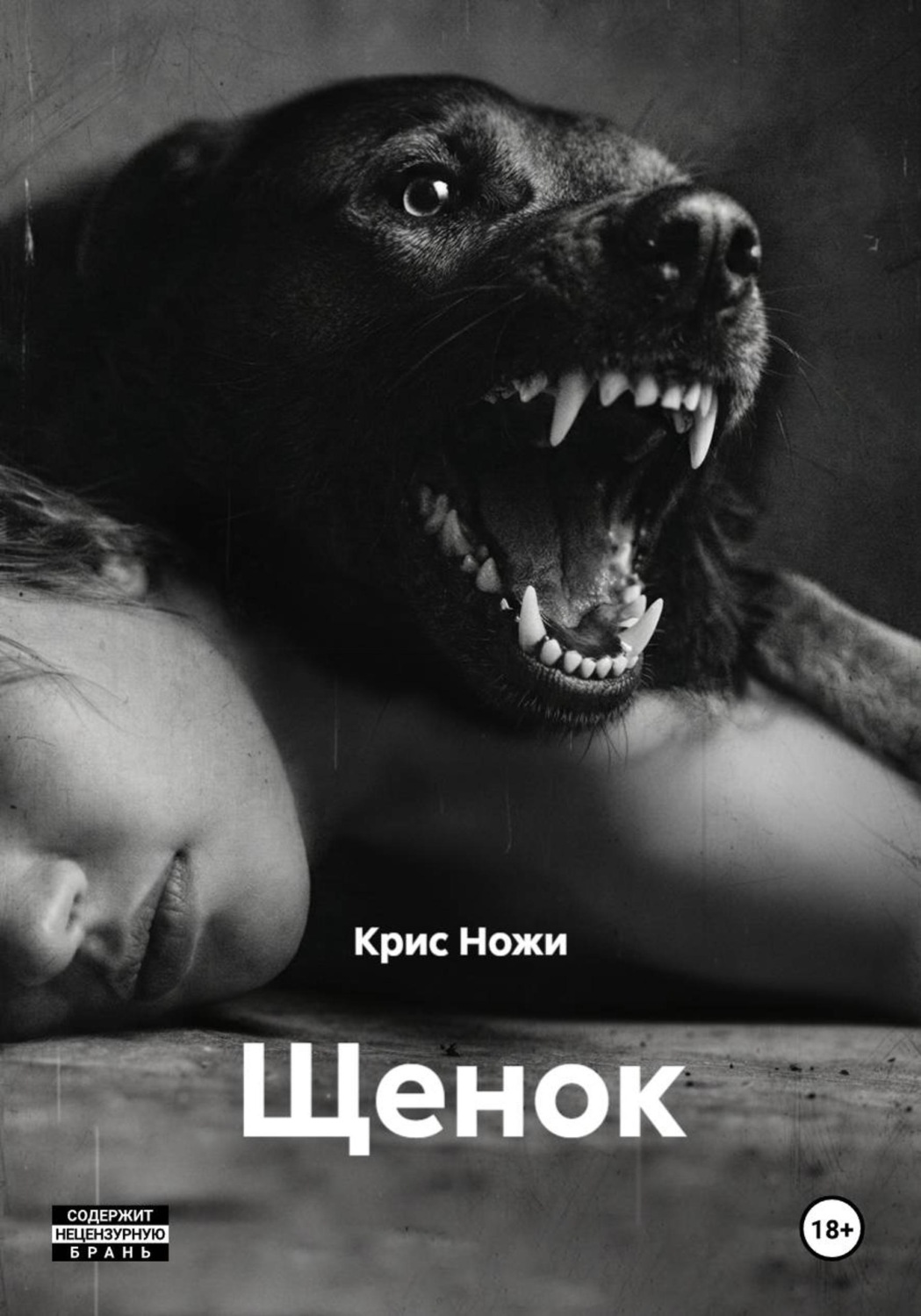 Обложка книги «Щенок»