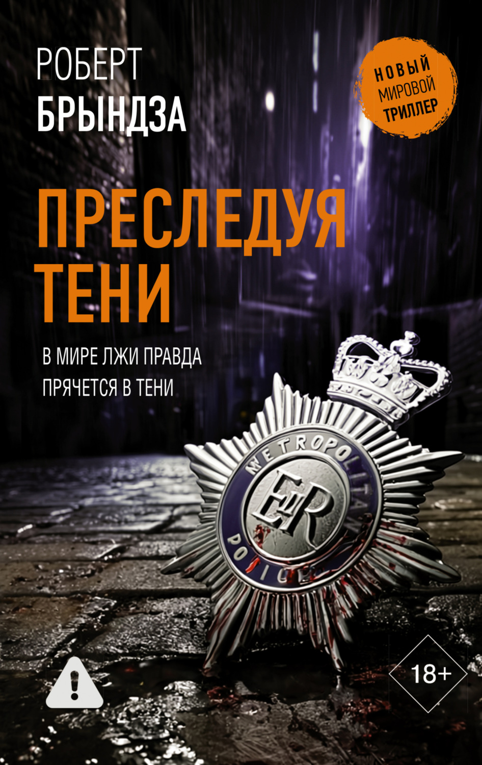 Обложка книги «Преследуя тени»