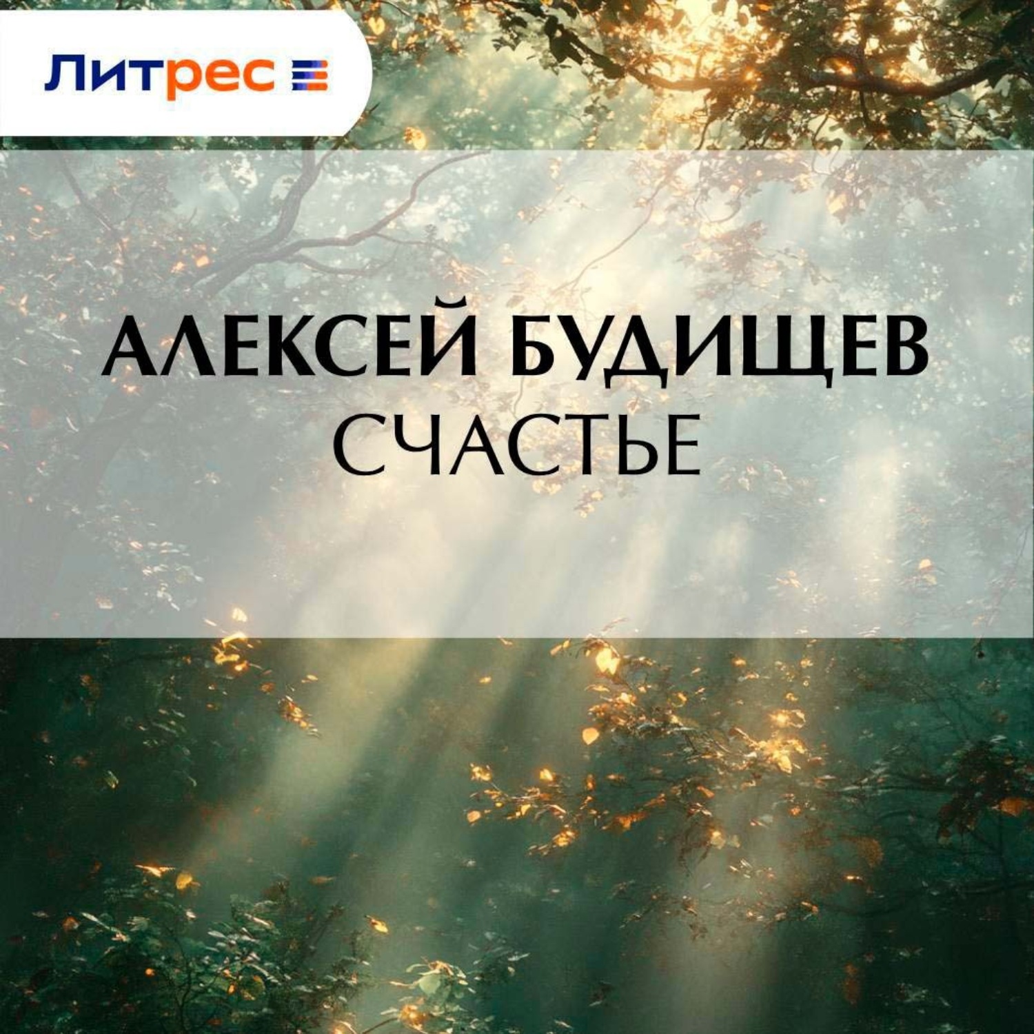 Обложка книги «Счастье»