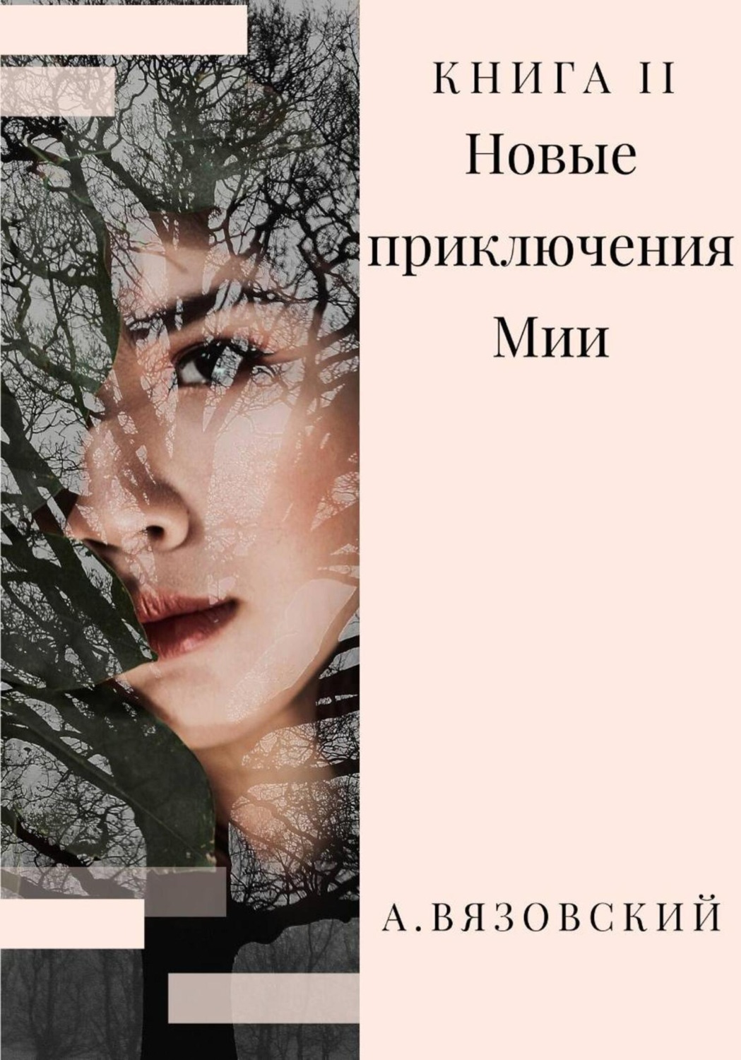 Обложка книги «Новые приключения Мии»