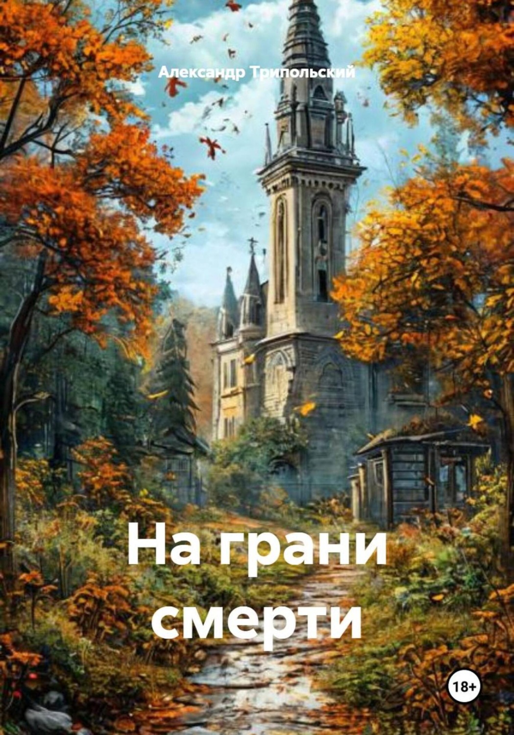 Обложка книги «На грани смерти»