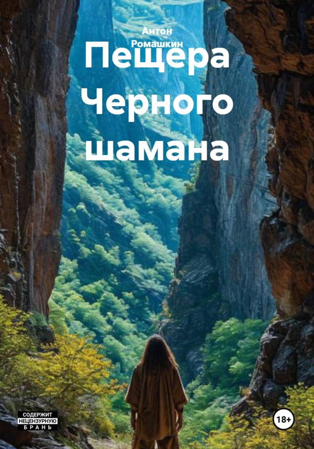 Обложка книги «Пещера Черного шамана»