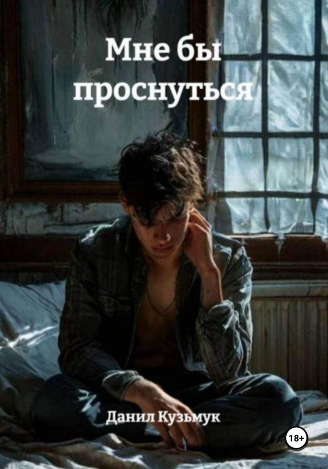 Обложка книги «Мне бы проснуться»