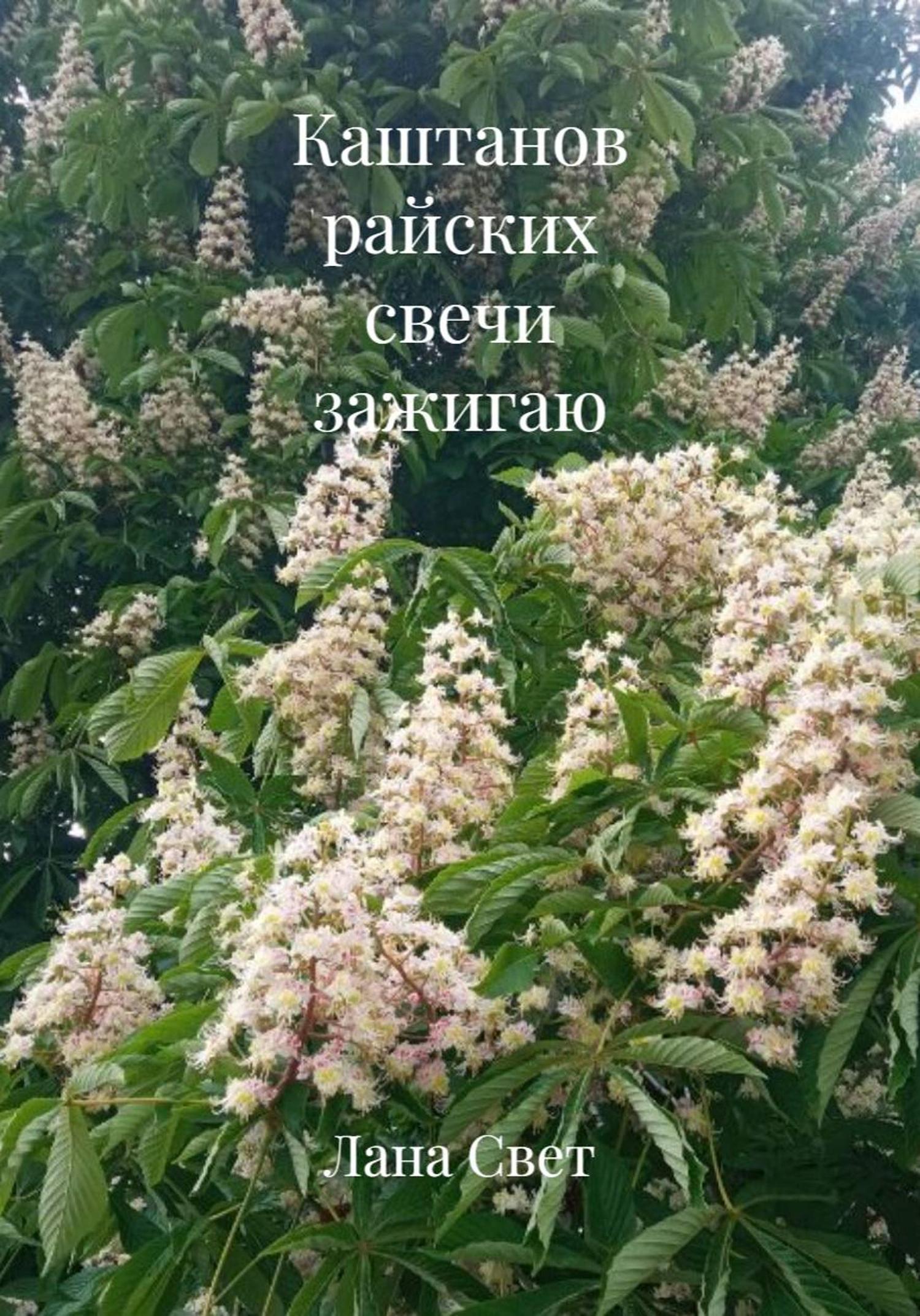 Обложка книги «Каштанов райских свечи зажигаю»