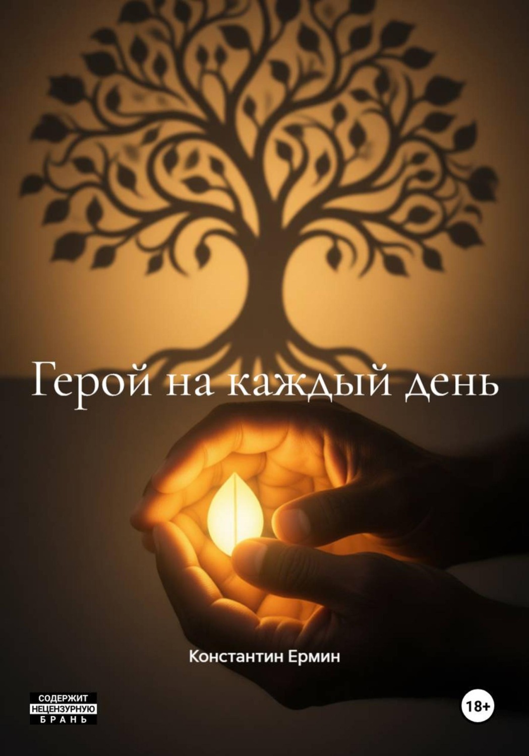 Обложка книги «Герой на каждый день»
