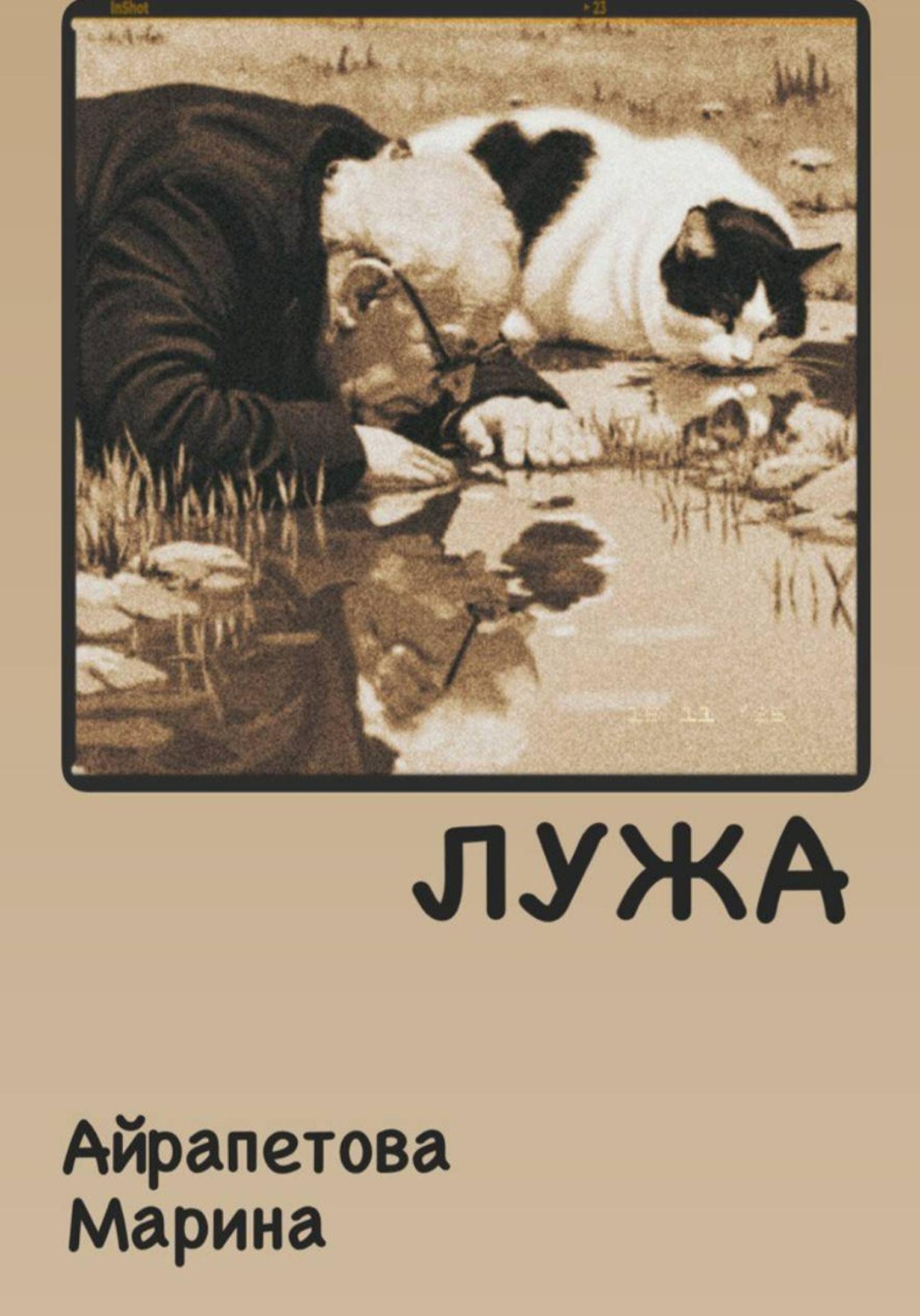 Обложка книги «Лужа»