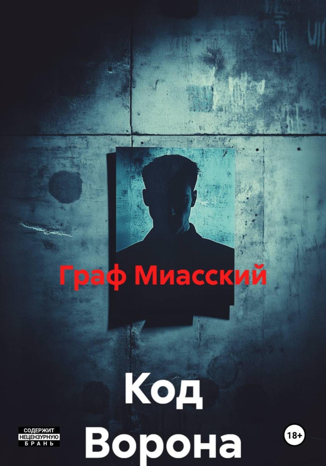 Обложка книги «Код Ворона»