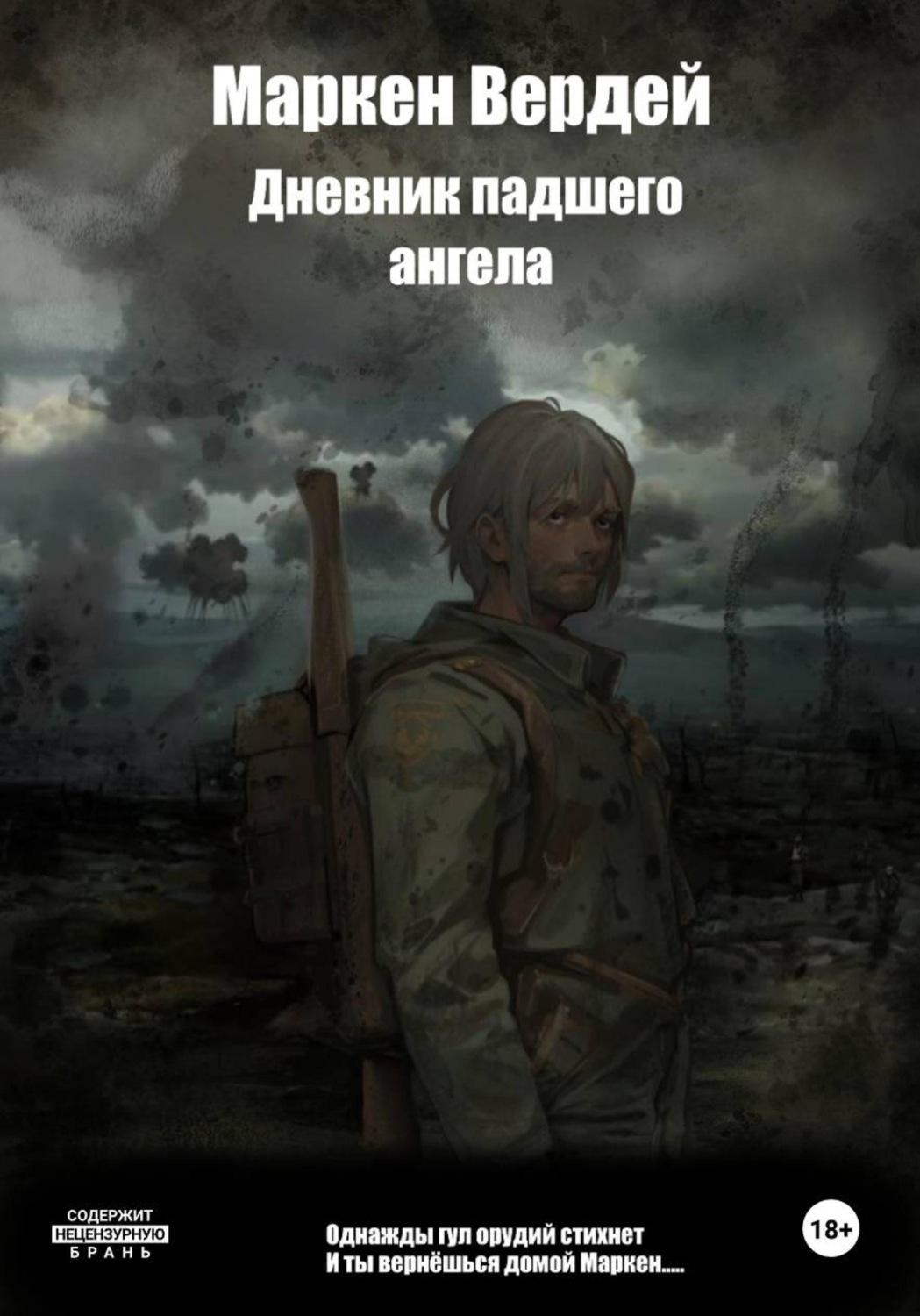 Обложка книги «Дневник падшего ангела»