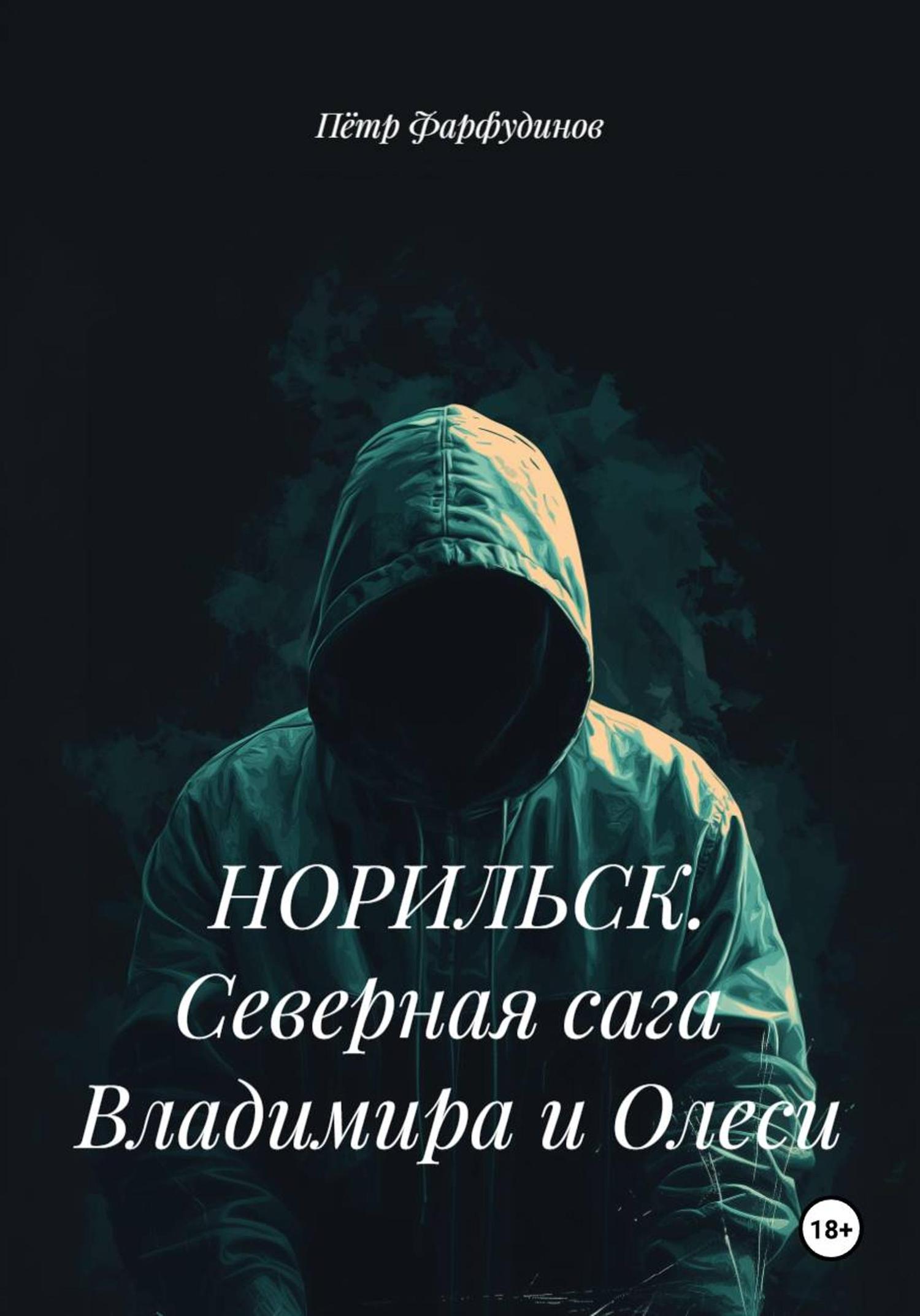 Обложка книги «НОРИЛЬСК. Северная сага Владимира и Олеси»
