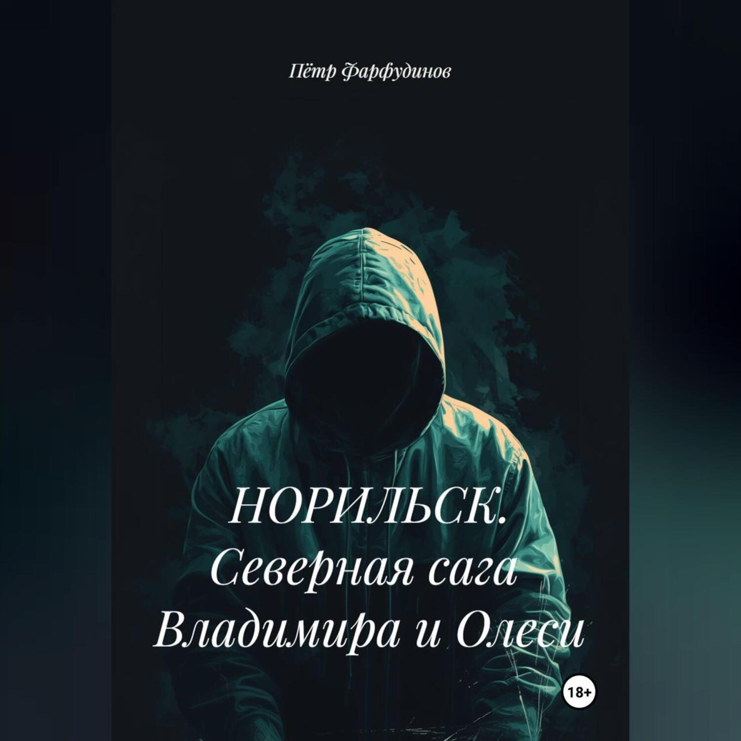 Обложка книги «НОРИЛЬСК. Северная сага Владимира и Олеси»