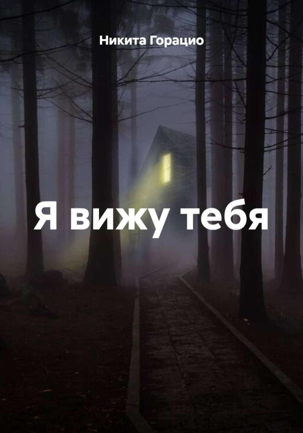Обложка книги «Я вижу тебя»