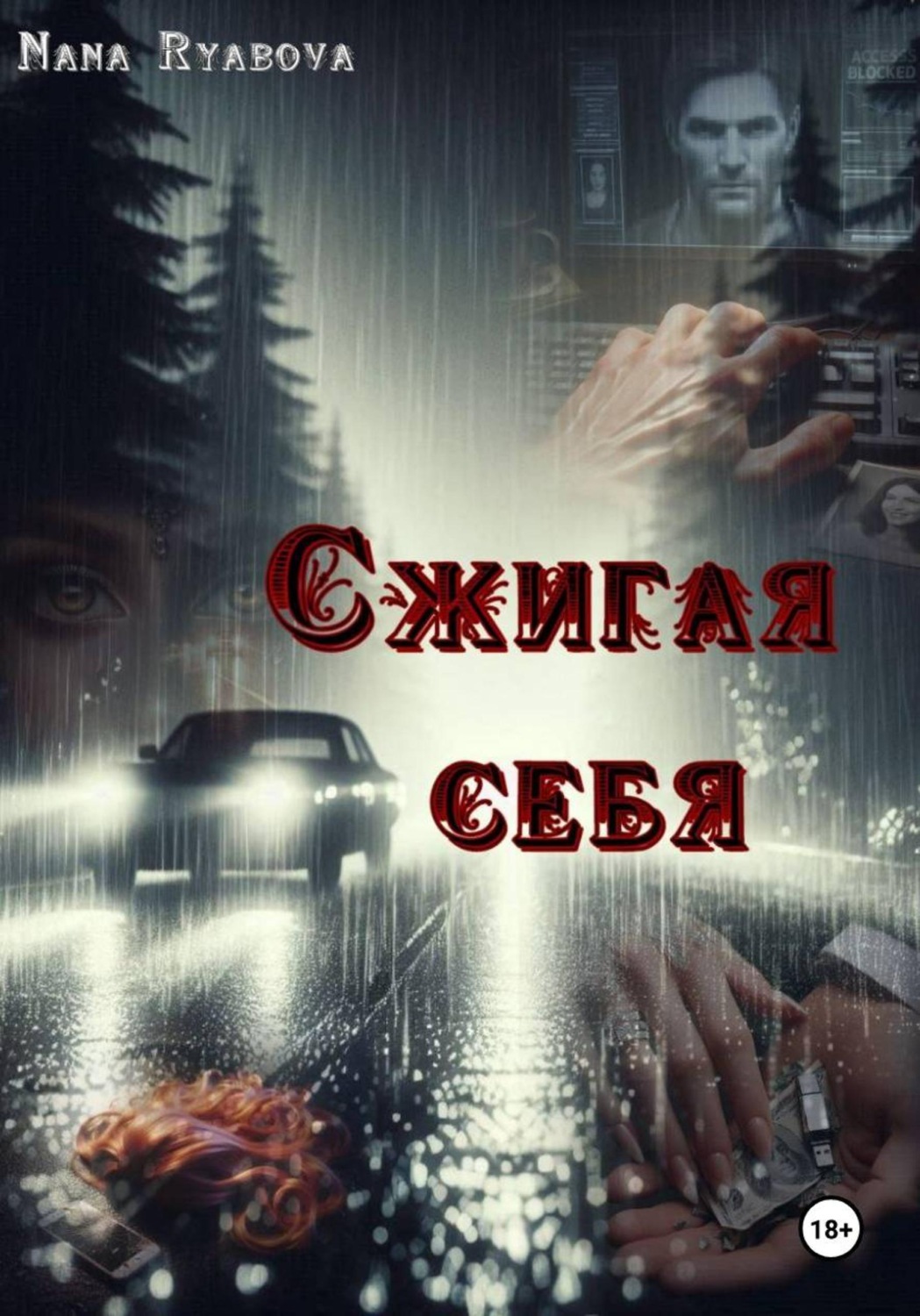 Обложка книги «Сжигая себя»