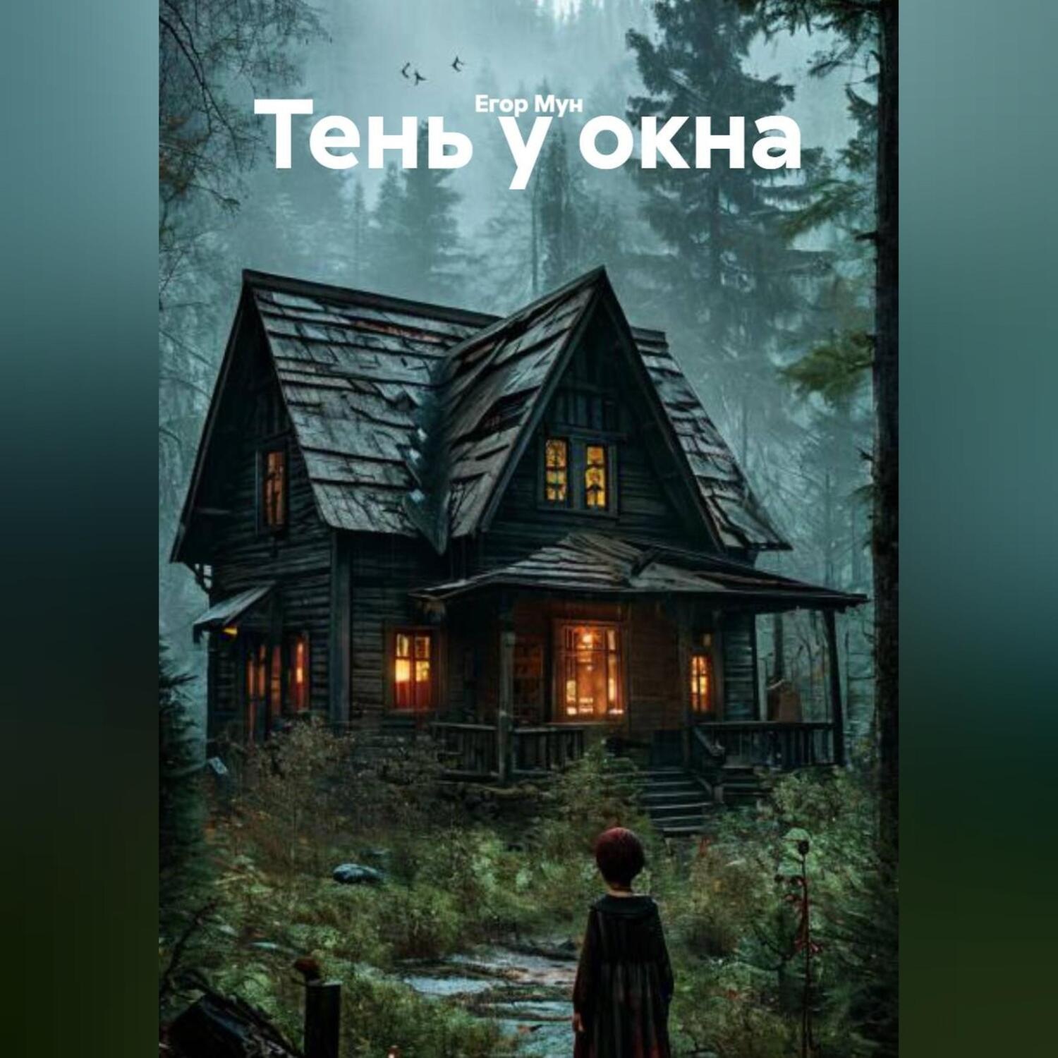 Обложка книги «Тень у окна»