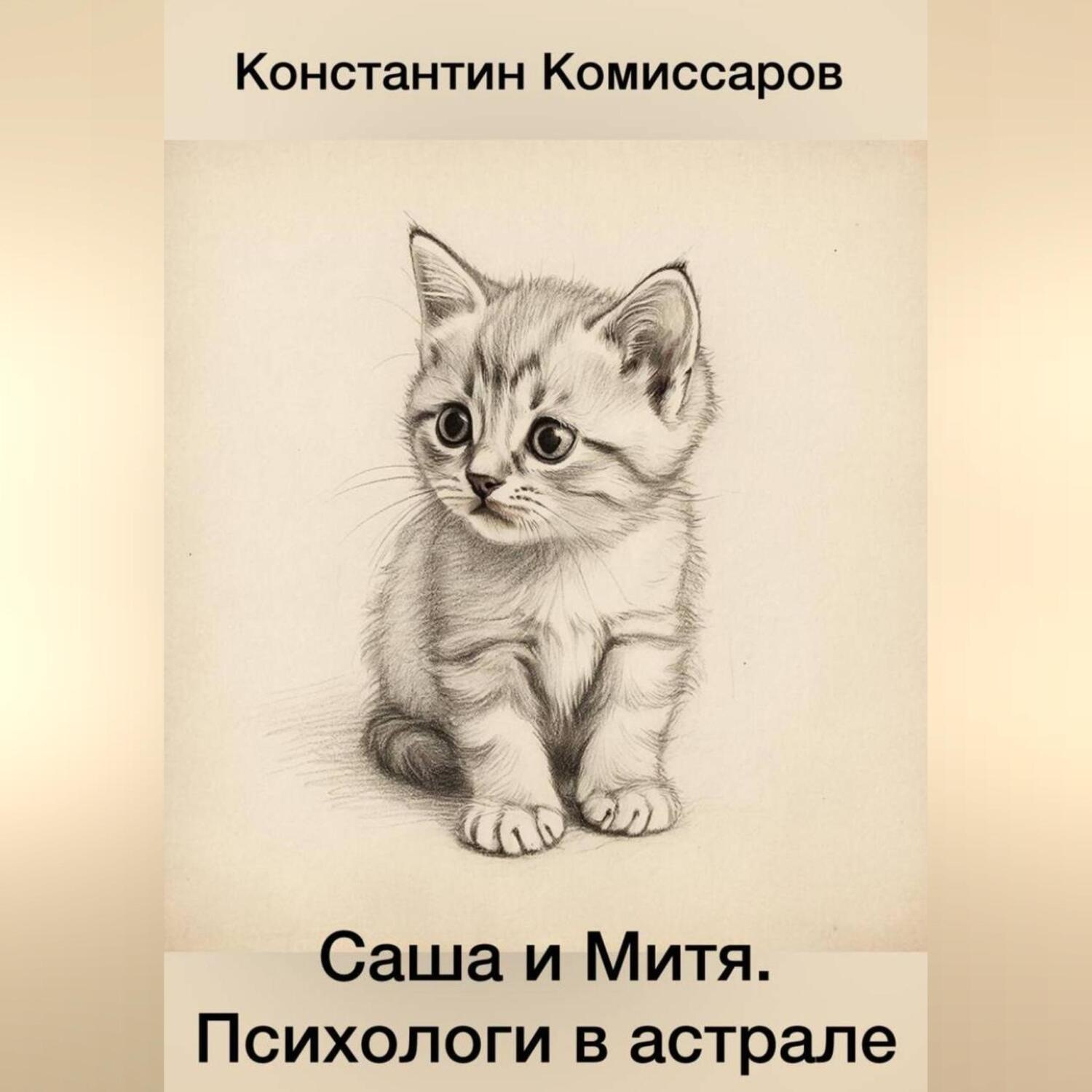Обложка книги «Саша и Митя. Психологи в астрале»