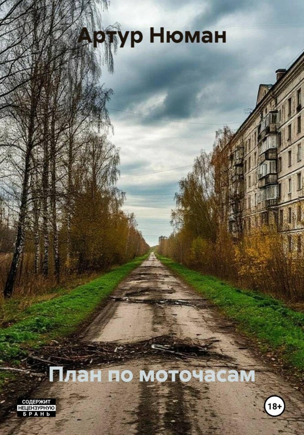 Обложка книги «План по моточасам»