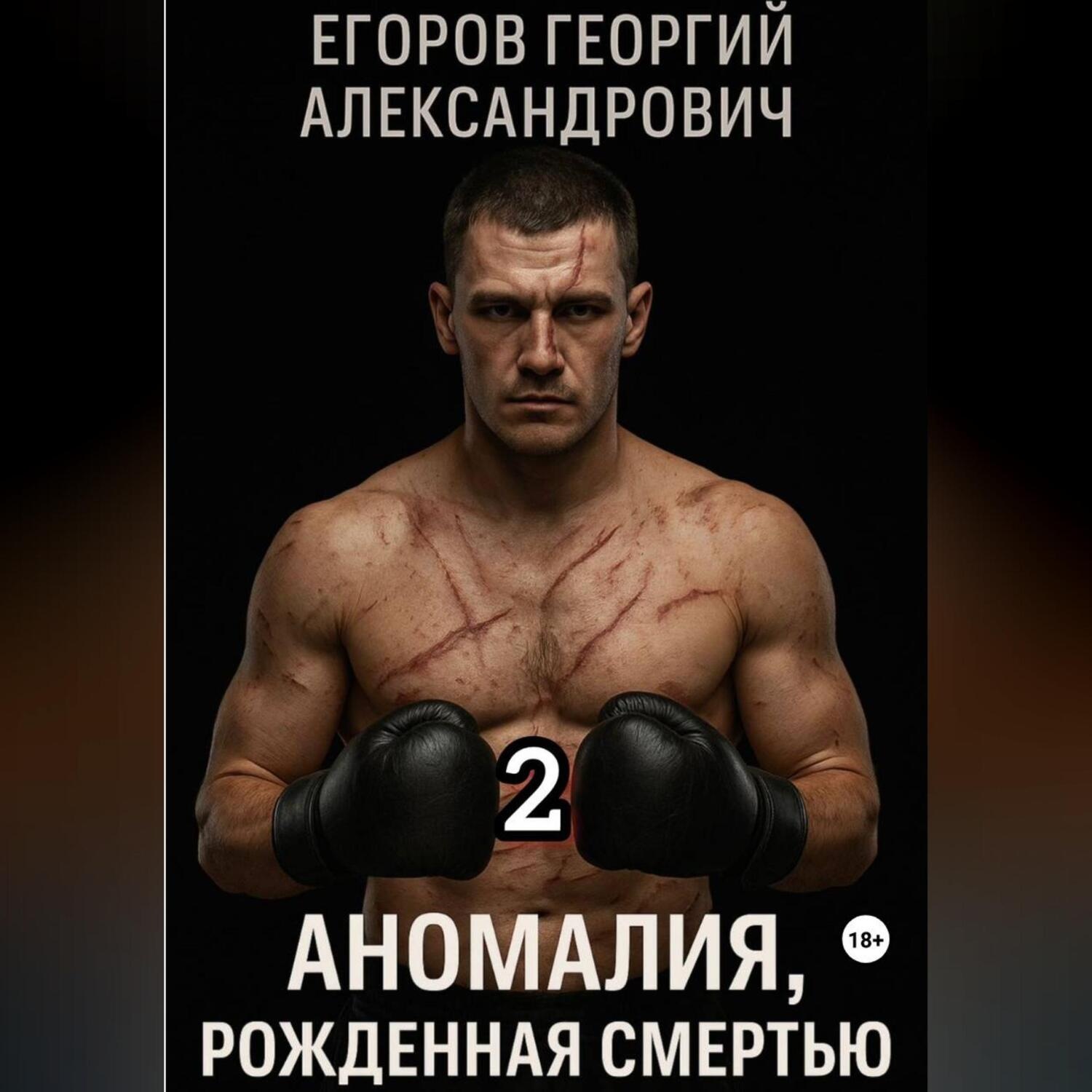 Обложка книги «Аномалия, рожденная смертью 2»
