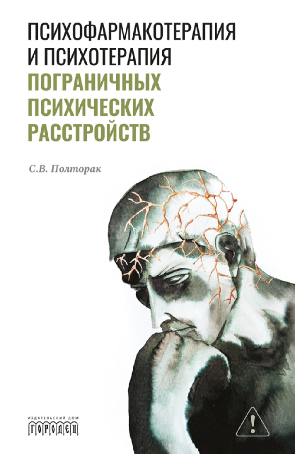Обложка книги «Психофармакотерапия и психотерапия пограничных психических расстройств»