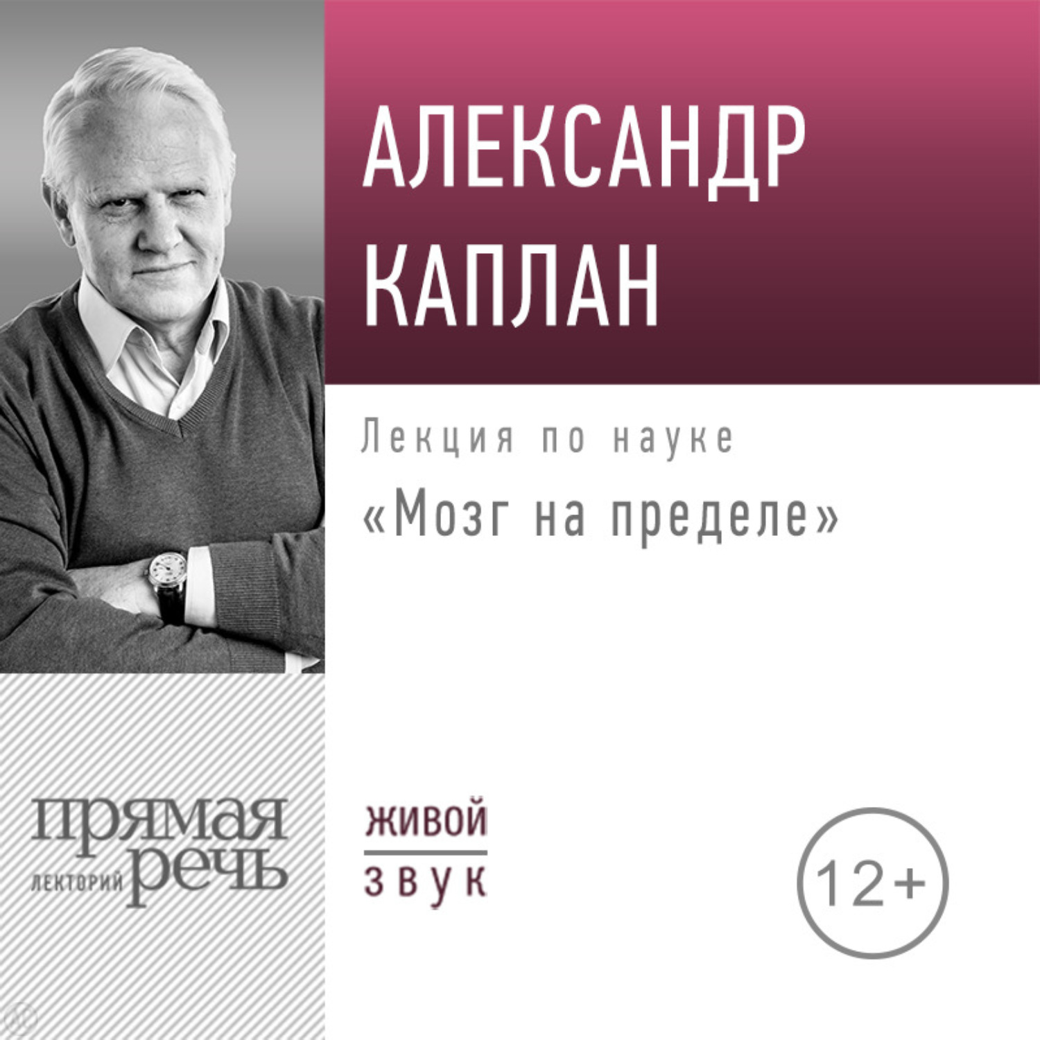 Обложка книги «Лекция «Мозг на пределе»»
