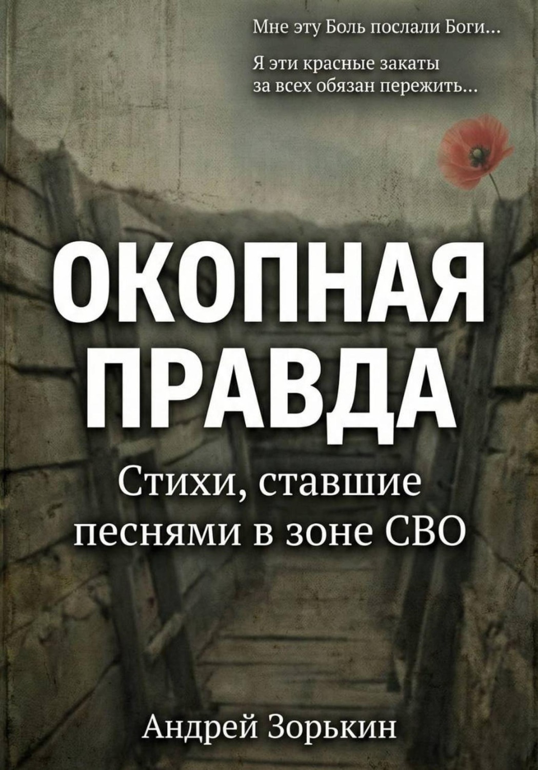Обложка книги «Окопная правда»