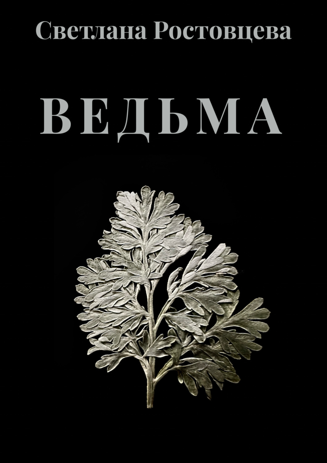 Обложка книги «Ведьма»