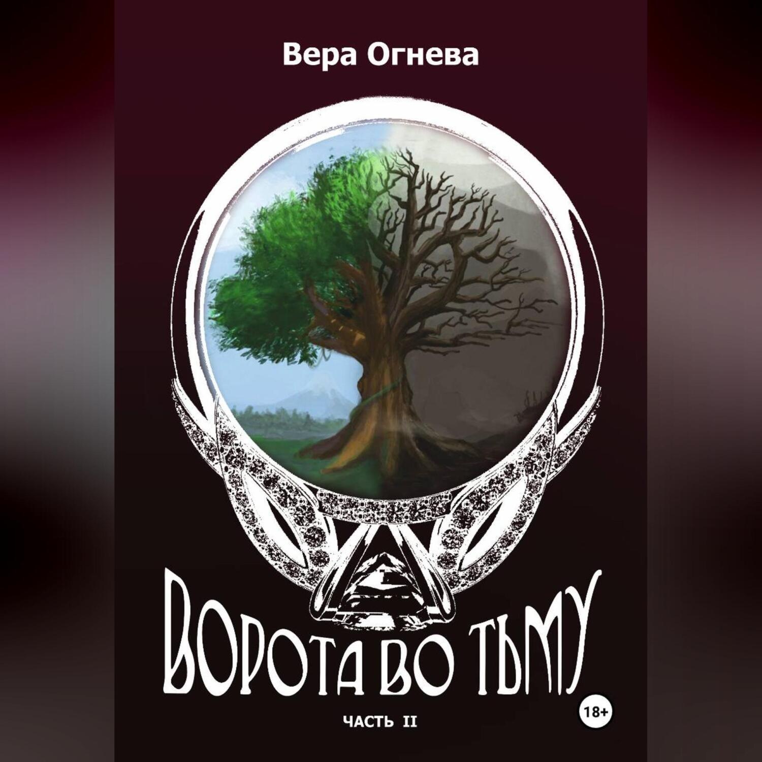 Обложка книги «Ворота во тьму книга 2»