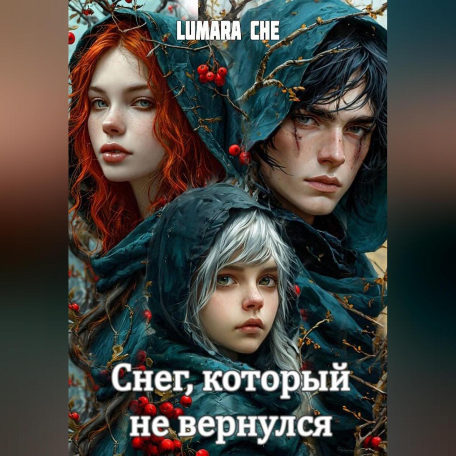 Обложка книги «Снег, который не вернулся»