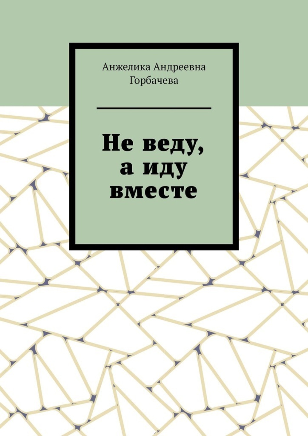 Обложка книги «Не веду, а иду вместе»