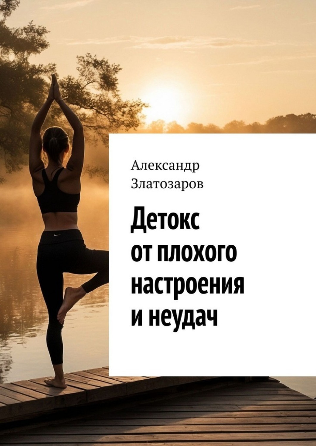 Обложка книги «Детокс от плохого настроения и неудач»