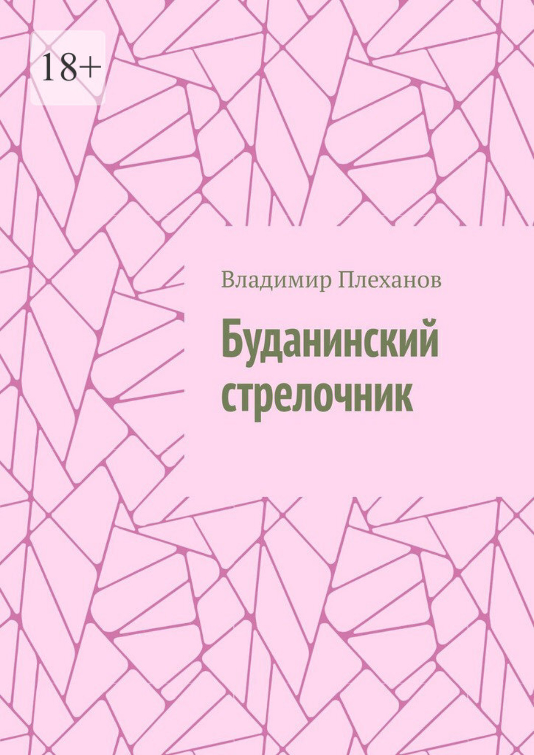 Обложка книги «Буданинский стрелочник»