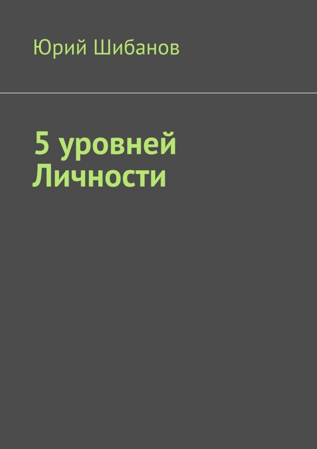 Обложка книги «5 уровней Личности»
