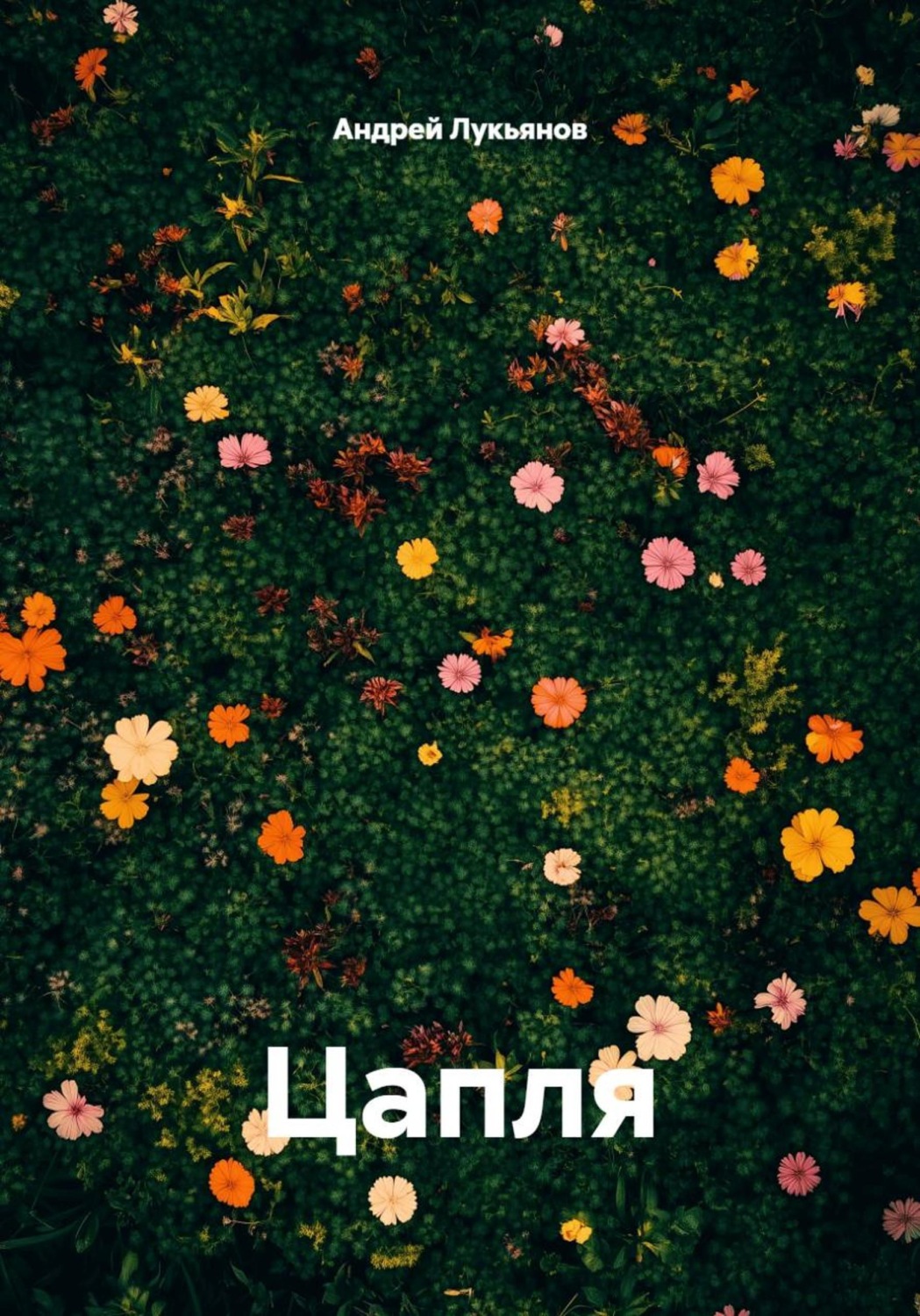 Обложка книги «Цапля»