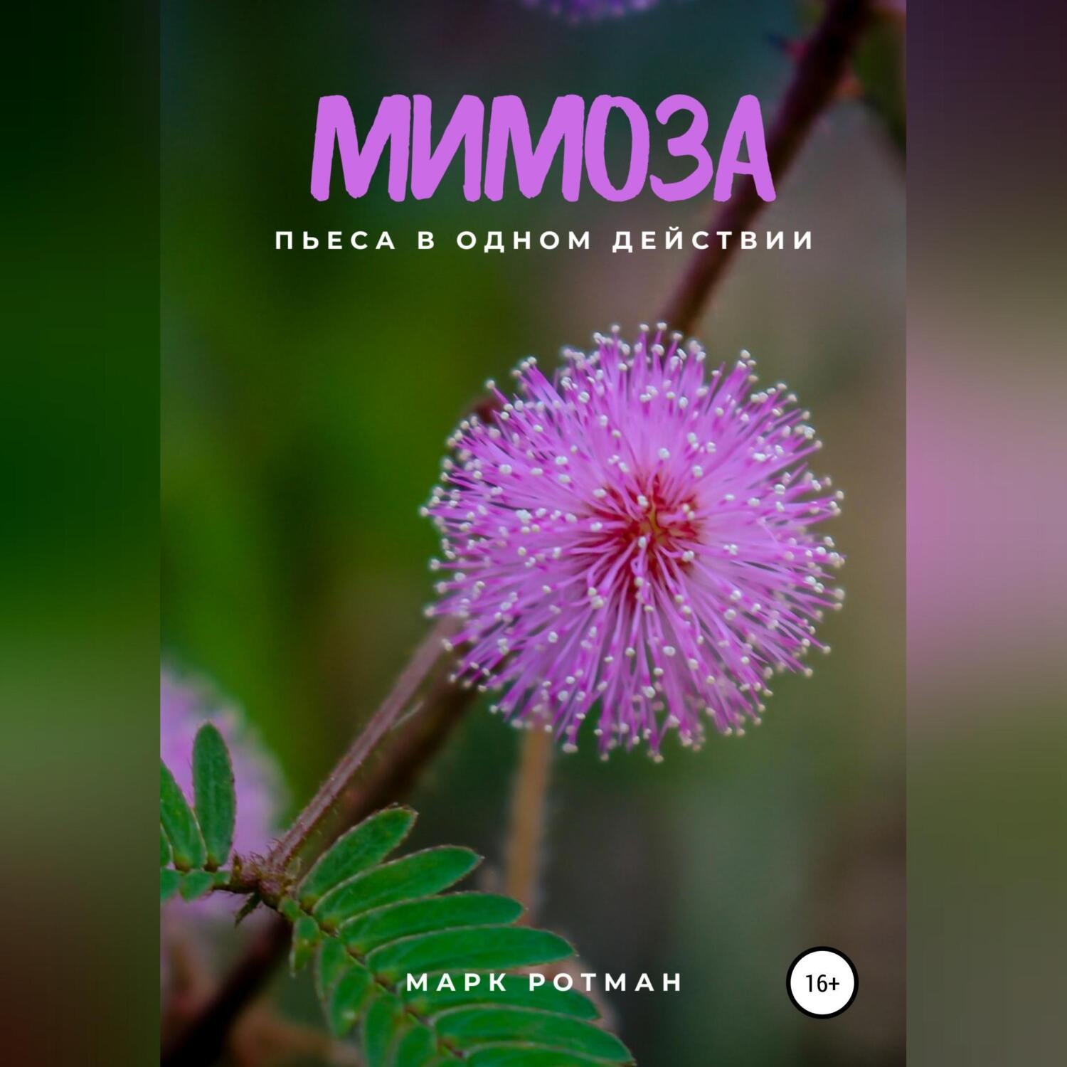 Обложка книги «Мимоза»
