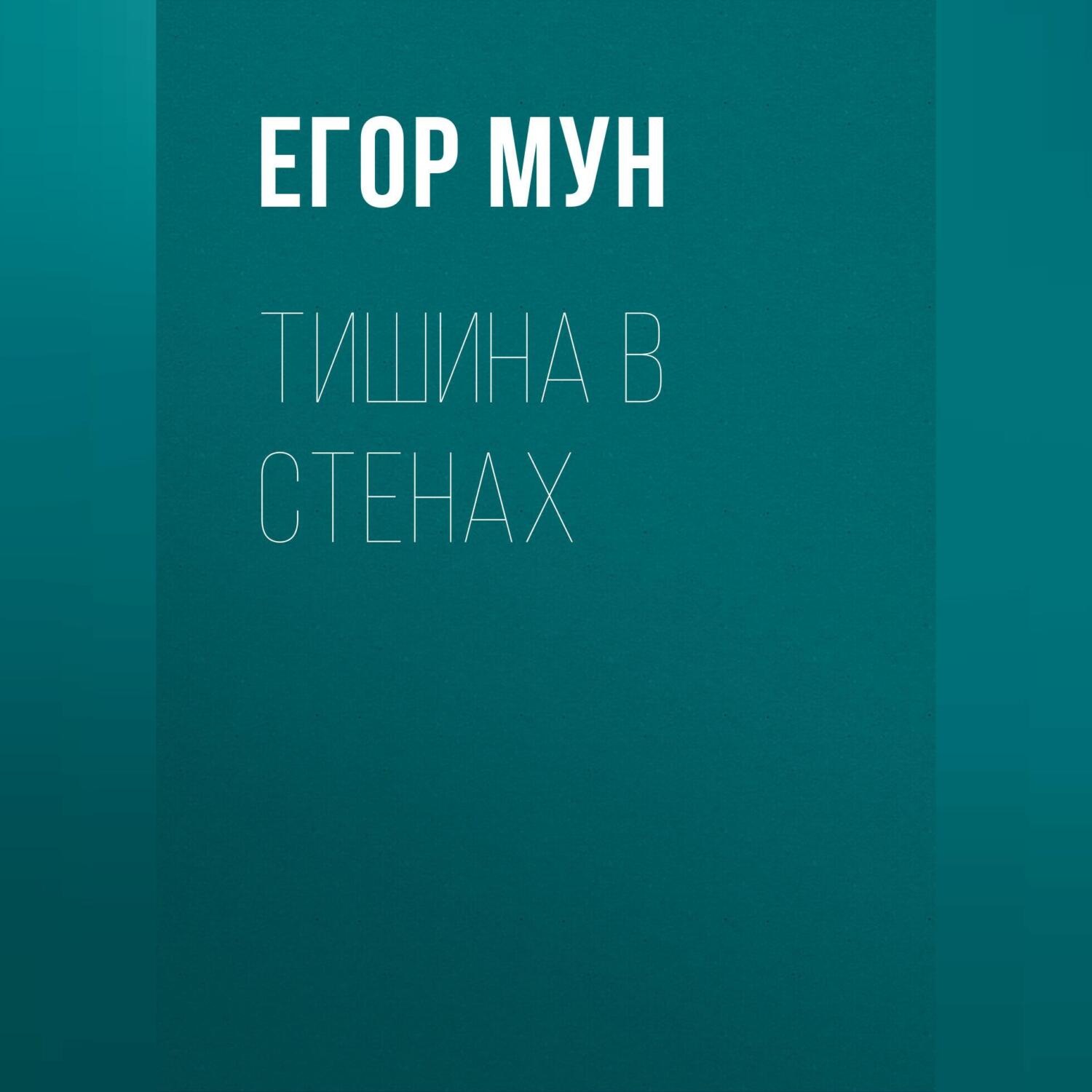 Обложка книги «Тишина в стенах»