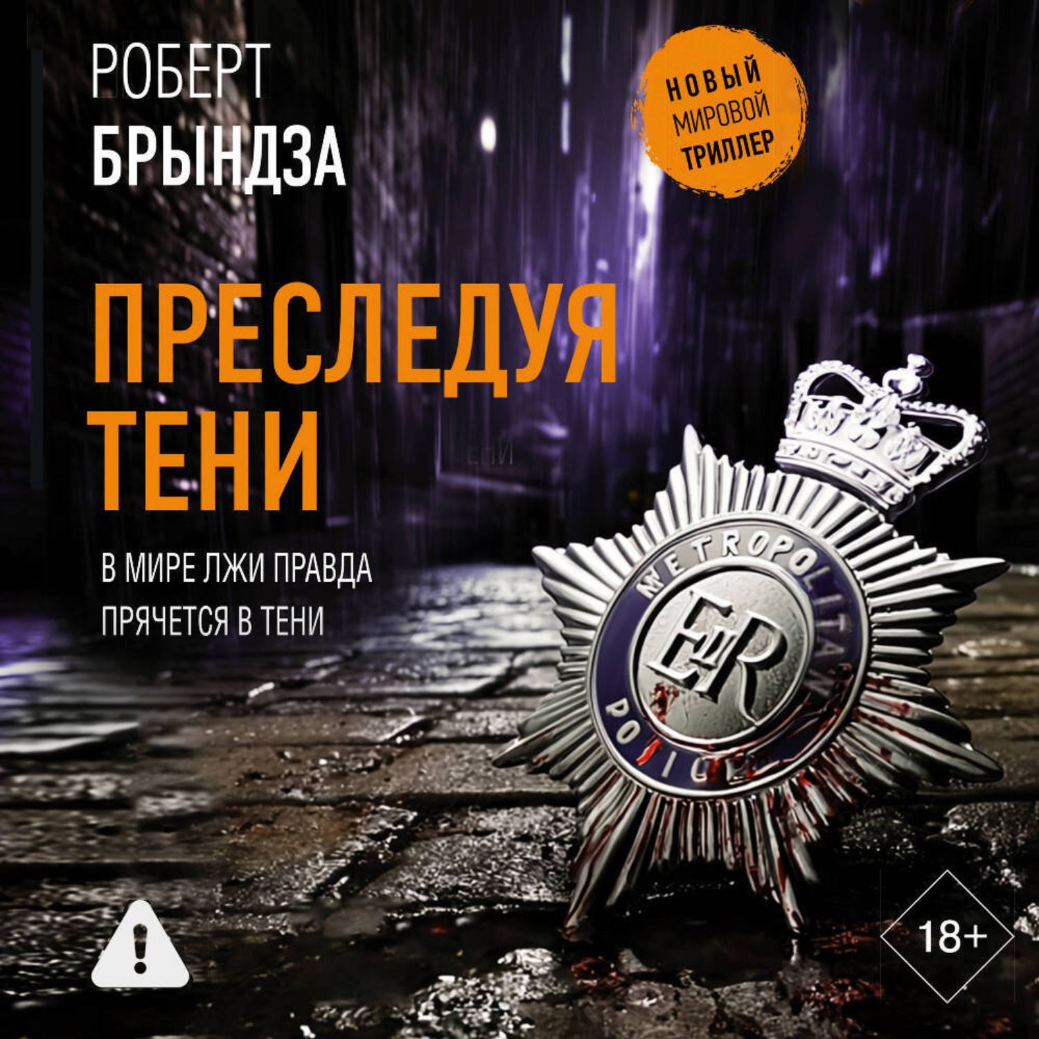 Обложка книги «Преследуя тени»