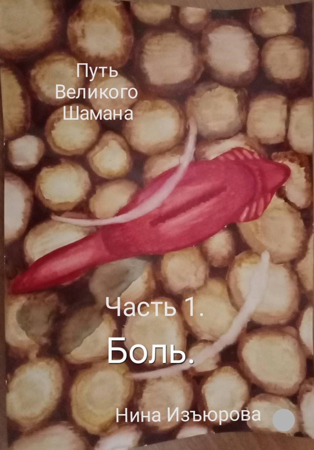 Обложка книги «Путь Великого Шамана. Часть 1»