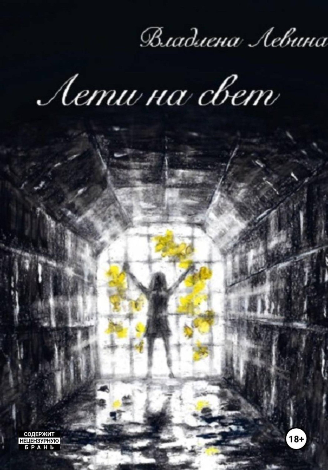 Обложка книги «Лети на свет»