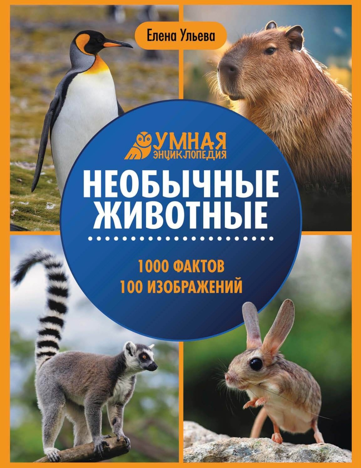 Обложка книги «Необычные животные»