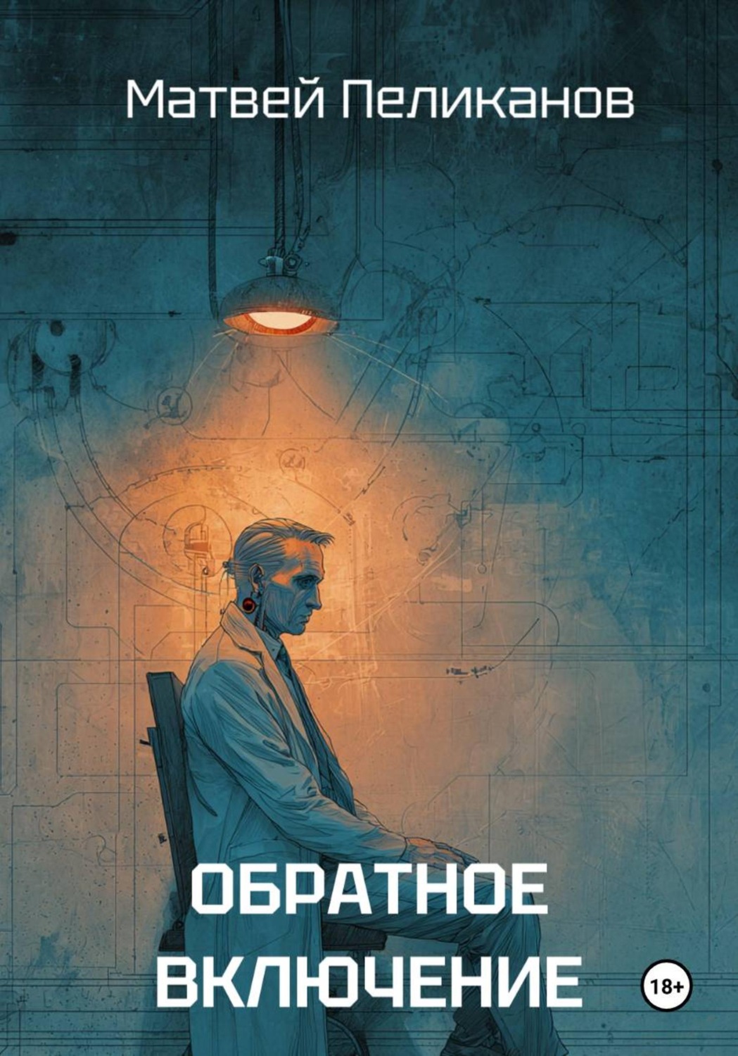 Обложка книги «Обратное включение»