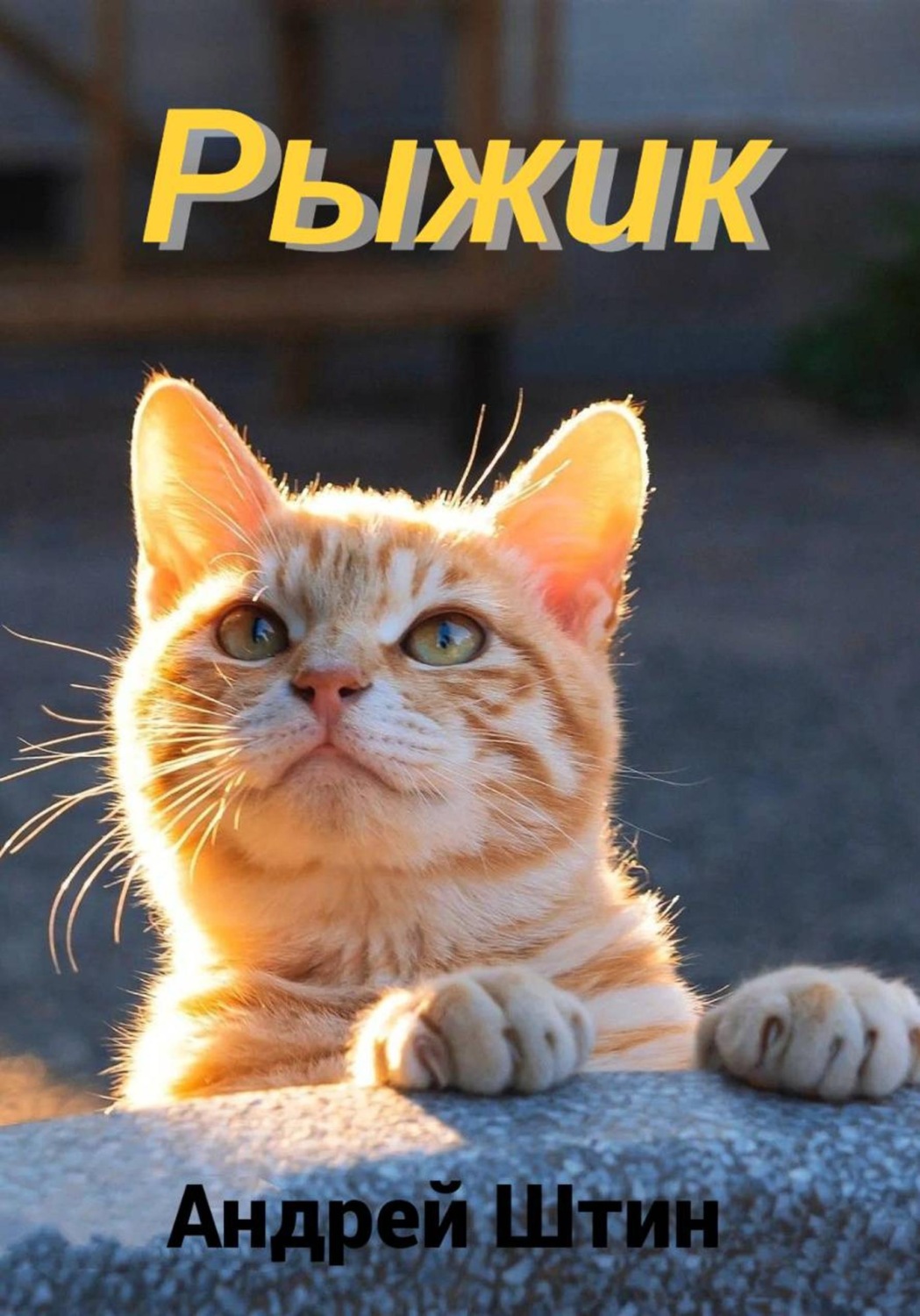 Обложка книги «Рыжик»